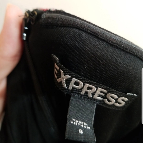 Express Dress - Picture 3 of 4